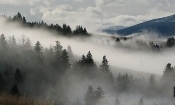 Шесть способов избавления от «мозгового тумана» | Блог 4brain